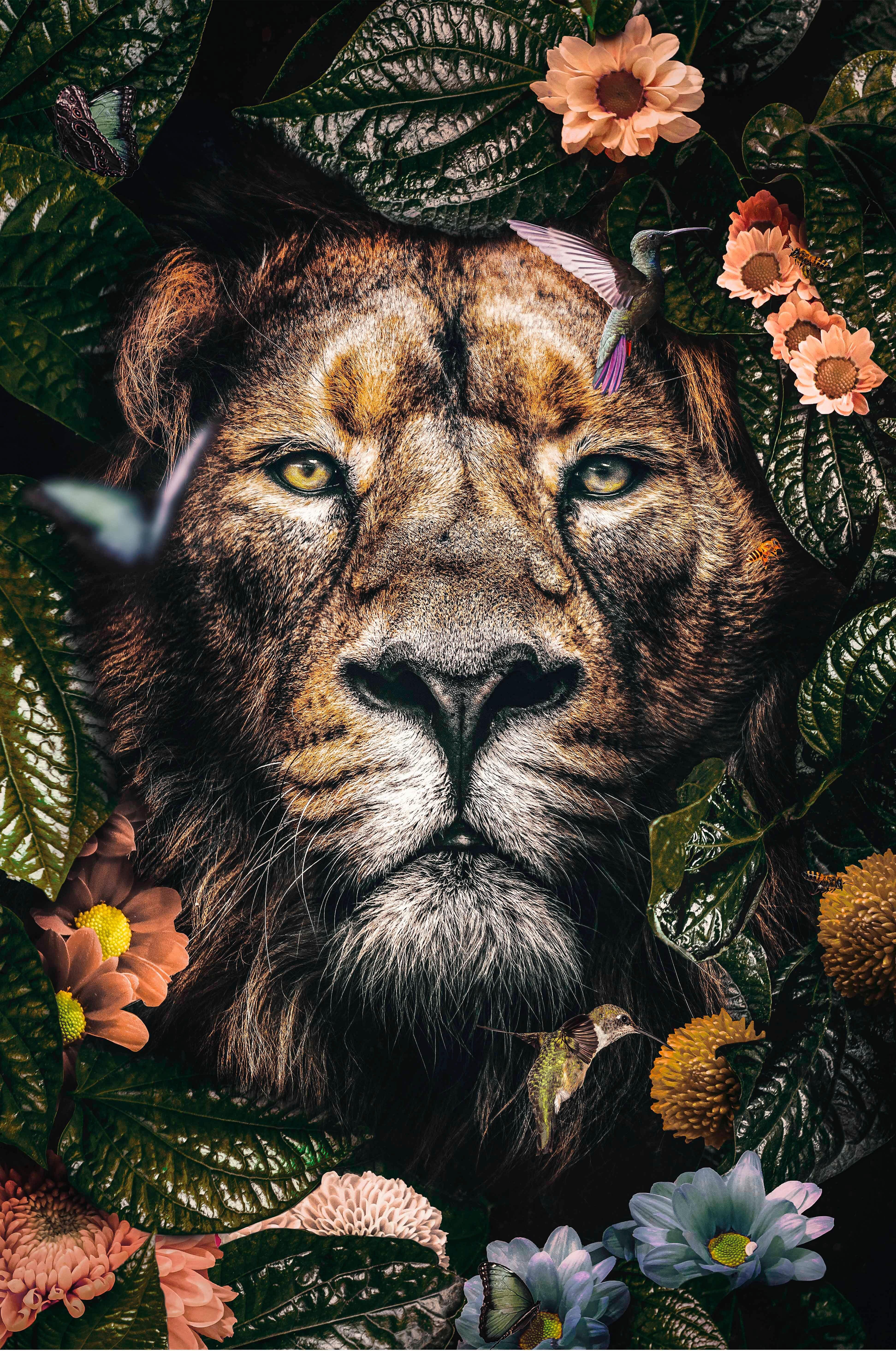 GLASBILD posterjunkie-05-98x148-gls-moz - Multicolor/Orange, Basics, Glas (98/148/5cm) - Wandkraft