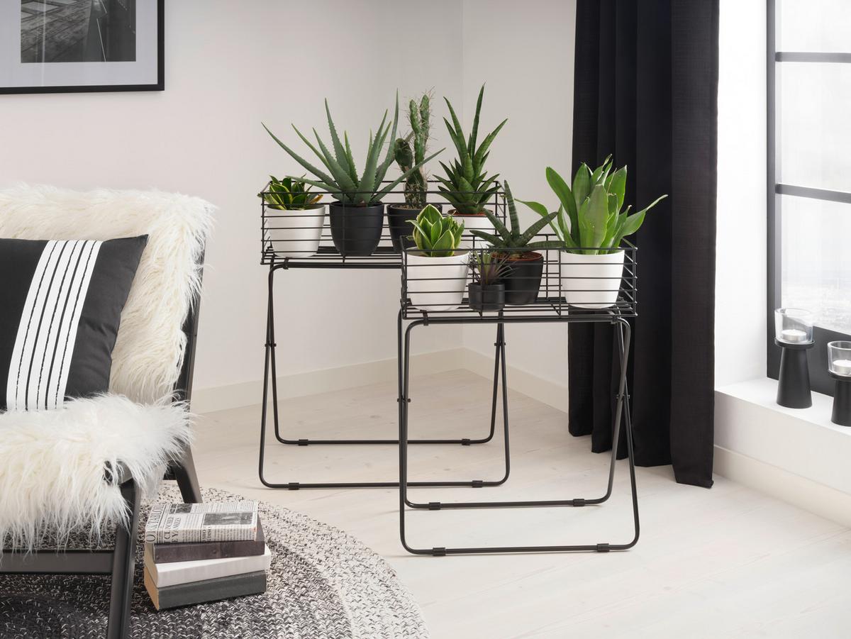 Növénytartó Black Times - fekete, Basics, fém (50/64/24cm) - Modern Living
