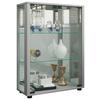 Vitrine Sintalo ca. 60x80 cm Silber - Silberfarben, MODERN, Glas/Holzwerkstoff (60/80/25cm) - MID.YOU