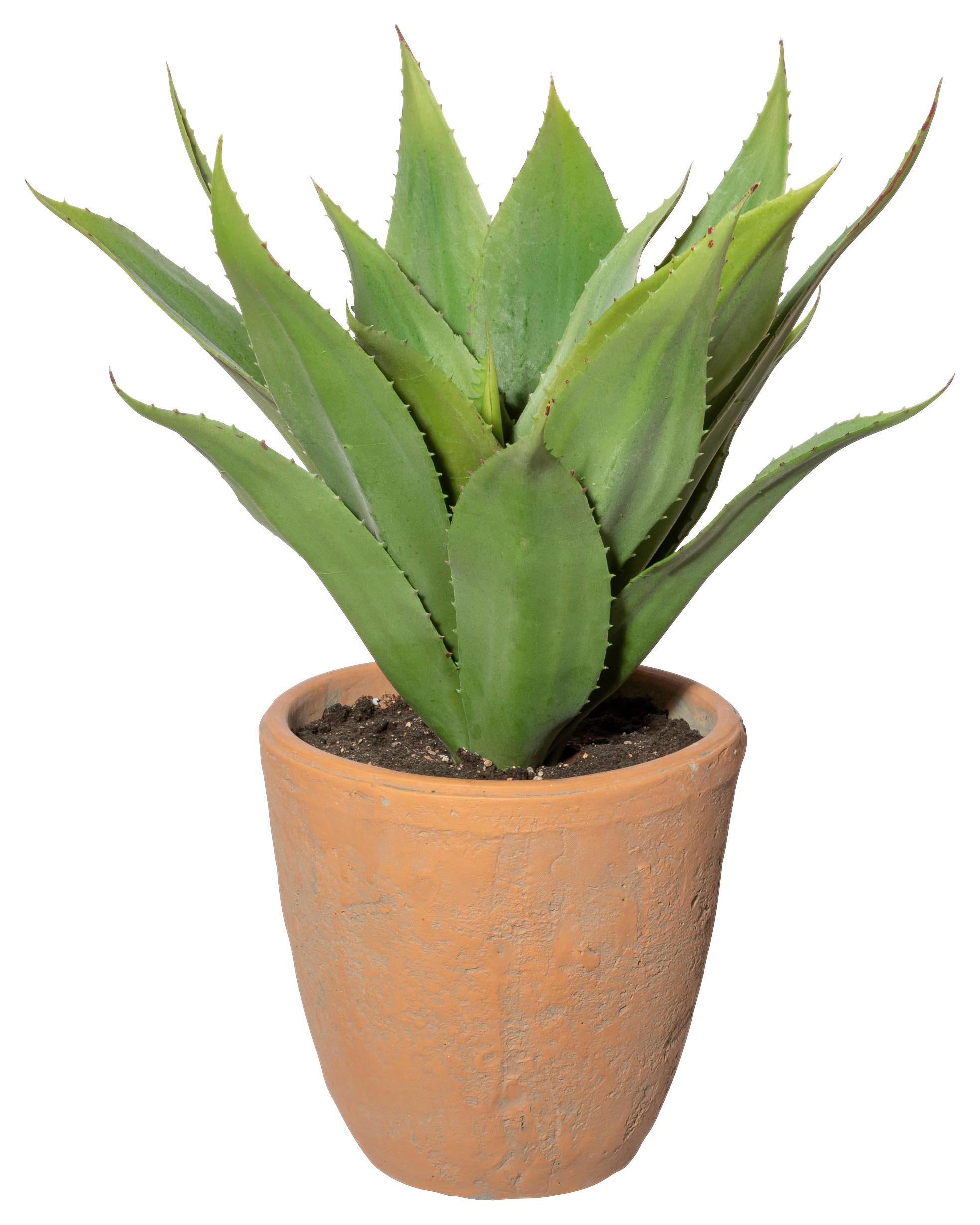 Kunstpflanze Sukkulenten Grün/Naturfarben - Naturfarben/Grün, Design, Keramik/Kunststoff (40cm)