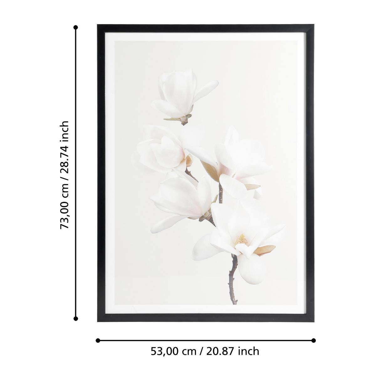Druckgrafik Roberval Weiß/Beige/Schwarz ca. 53x73cm - Pink/Beige, Trend, Glas/Papier (53/1,6/73cm) - Eglo