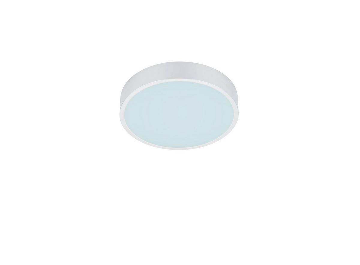 LED-Deckenleuchte Waco Weiß max. 28 Watt - Basics (31/6,5cm) - Trio Leuchten