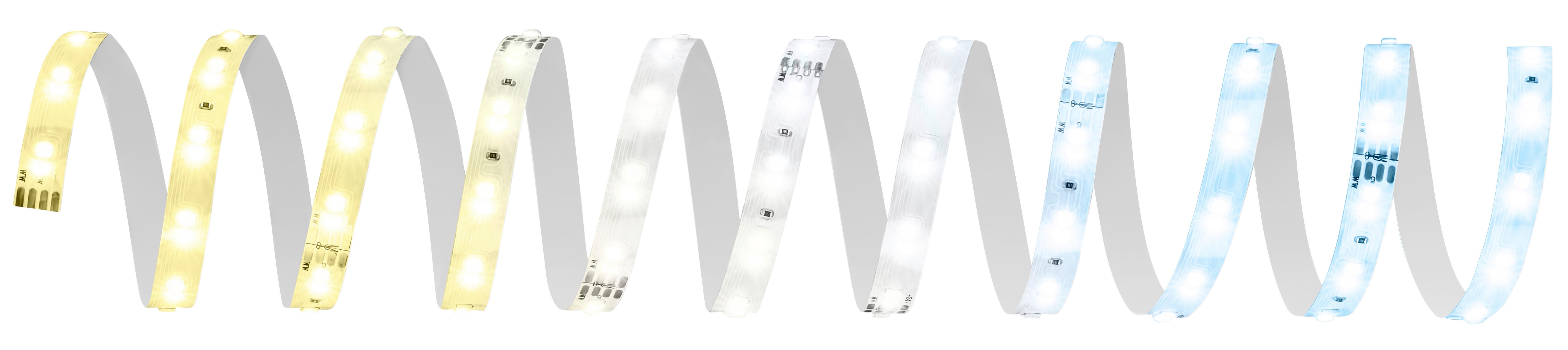 TAŚMA LED 8020294 PYP STARTER SET CCT - biały, Basics, tworzywo sztuczne (260cm) - Briloner