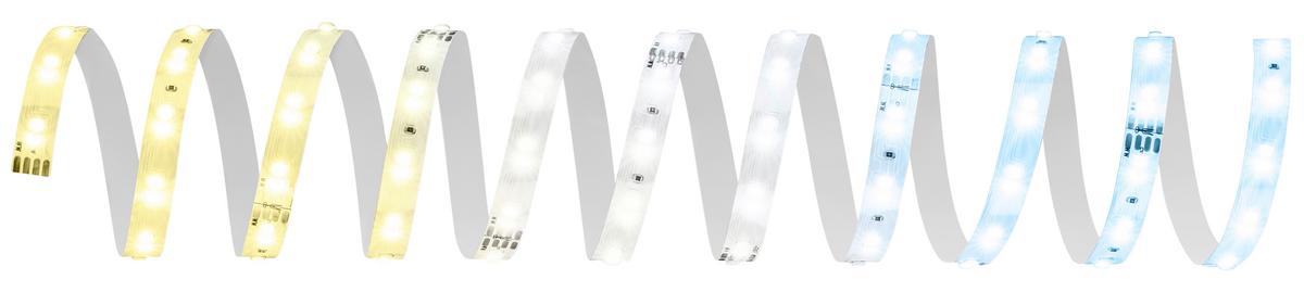 TAŚMA LED 8020294 PYP STARTER SET CCT - biały, Basics, tworzywo sztuczne (260cm) - Briloner