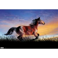 Schreibunterlage Pferd ca. 60x40cm - Kunststoff (60/40cm)