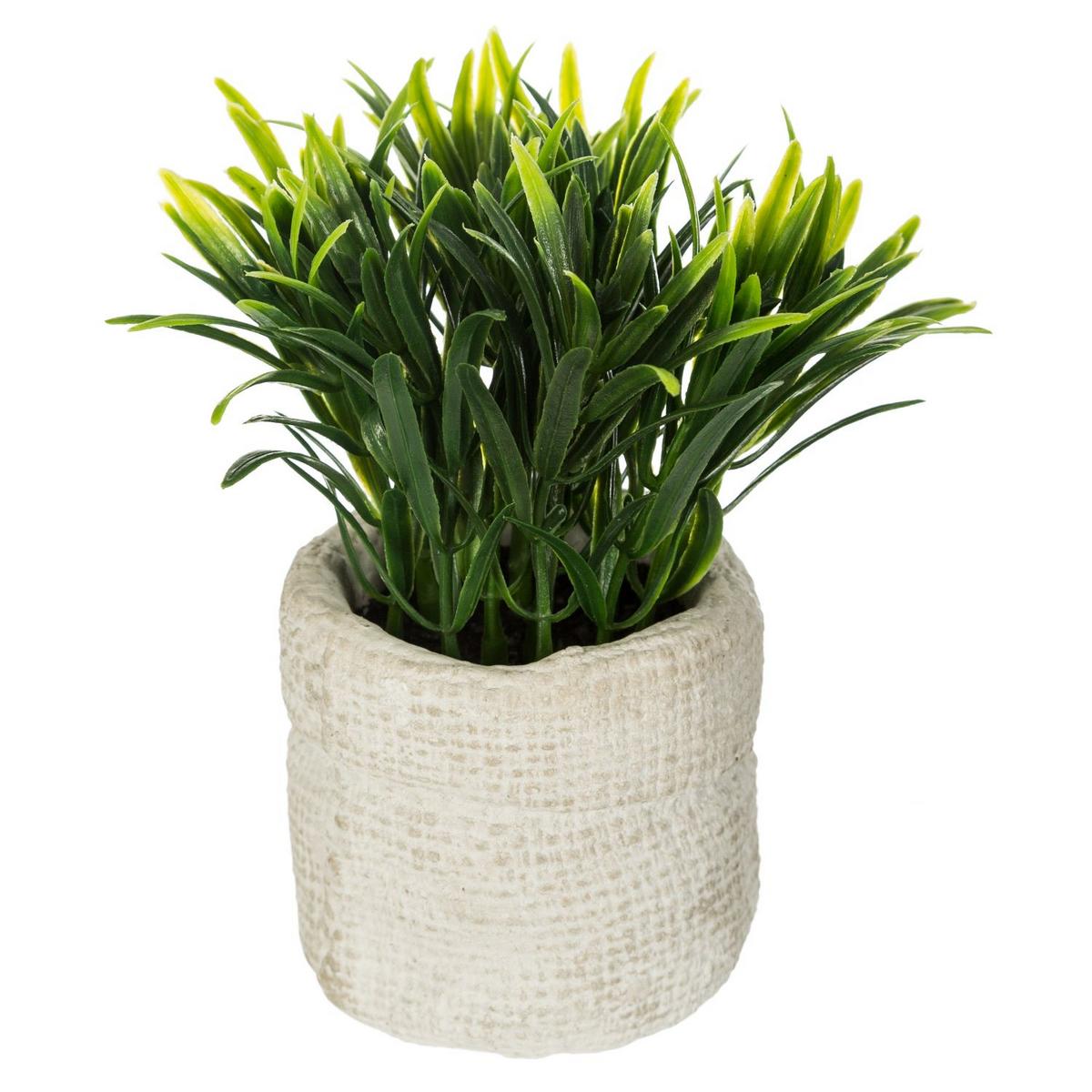 Veštačka Biljka 16cm Cemen - zelena, Osnovno, kamen/plastika (12/16cm)