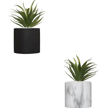 Plantă artificială Marble - Basics (9/18/9cm)