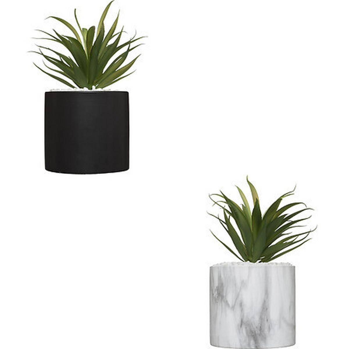 Plantă artificială Marble - Basics (9/18/9cm)