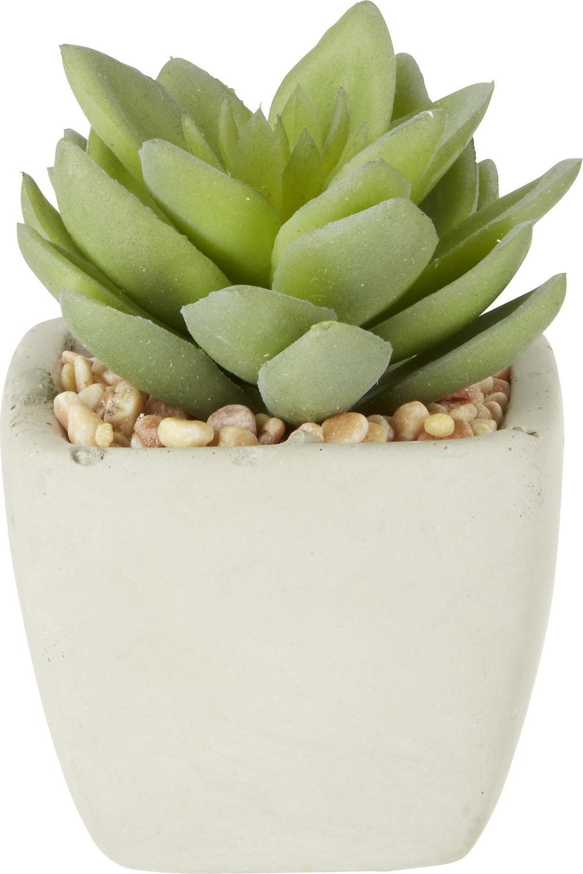Plantă artificială Sukkulente - verde, Lifestyle, plastic (7-9cm) - Modern Living