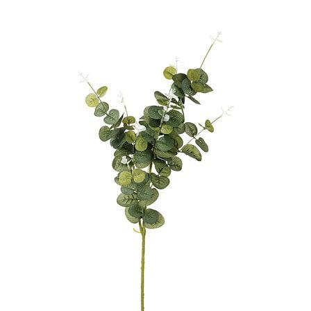 Grana Dekorativna Eucalyptus - Basics (30/90/9,5cm)