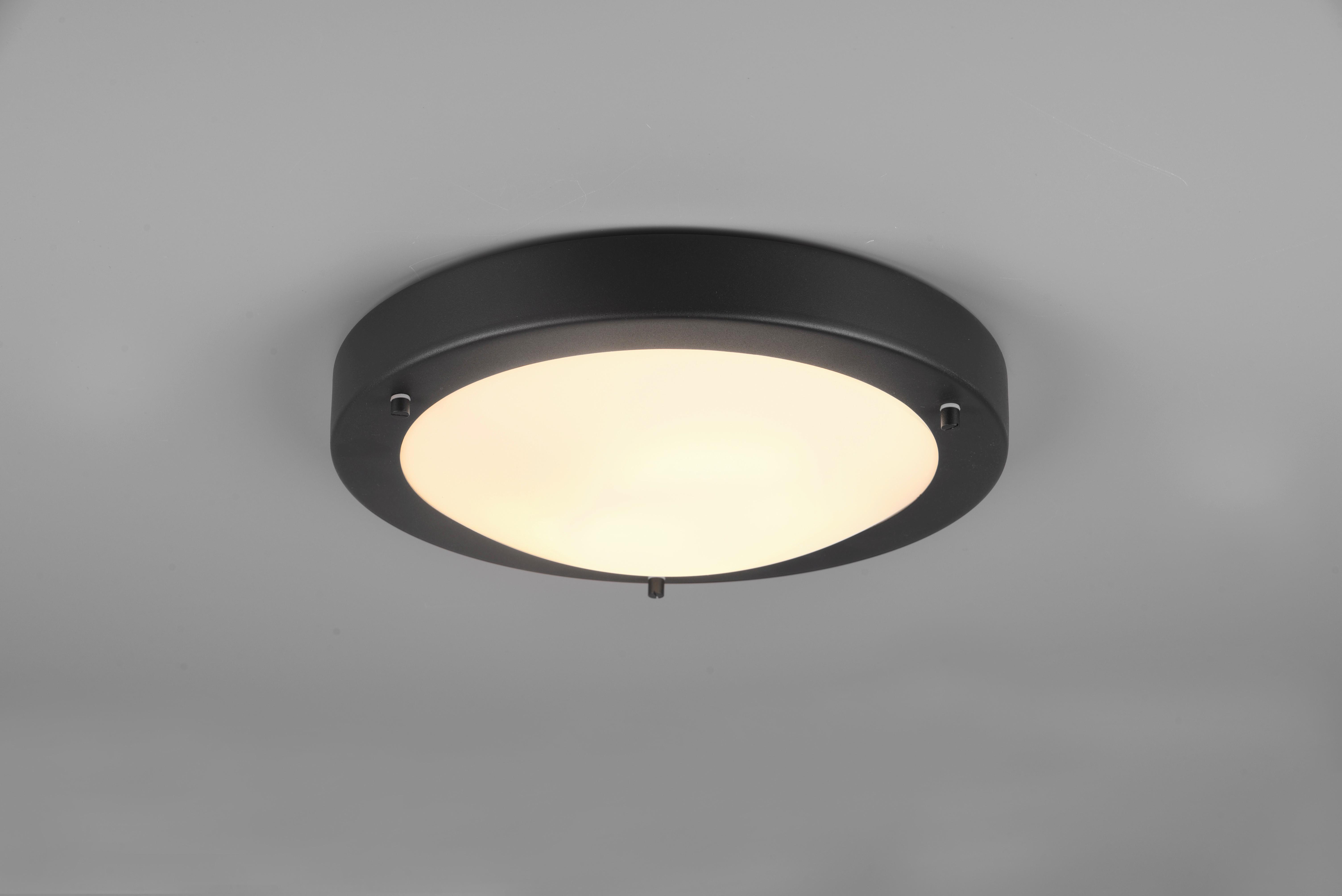 Badezimmer-Deckenleuchte Condus max. 60 Watt - Schwarz/Weiß, Basics, Glas/Metall (31,5/8cm) - Trio Leuchten