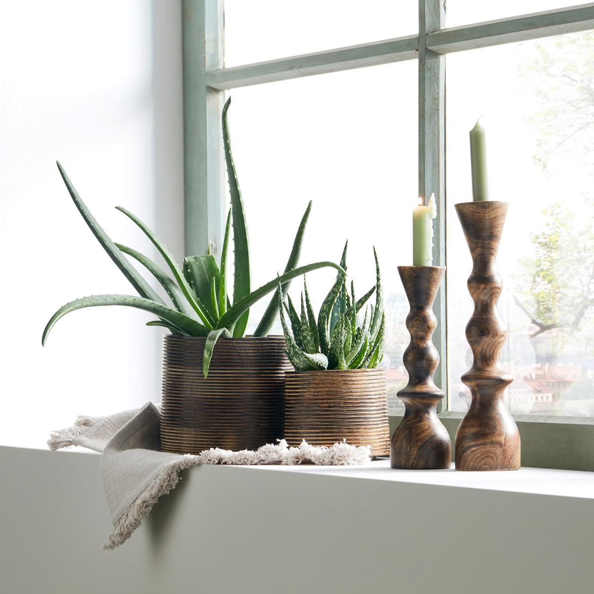 Kaspó Lenuia - natúr színű, Lifestyle, fa (15/17cm) - Premium Living