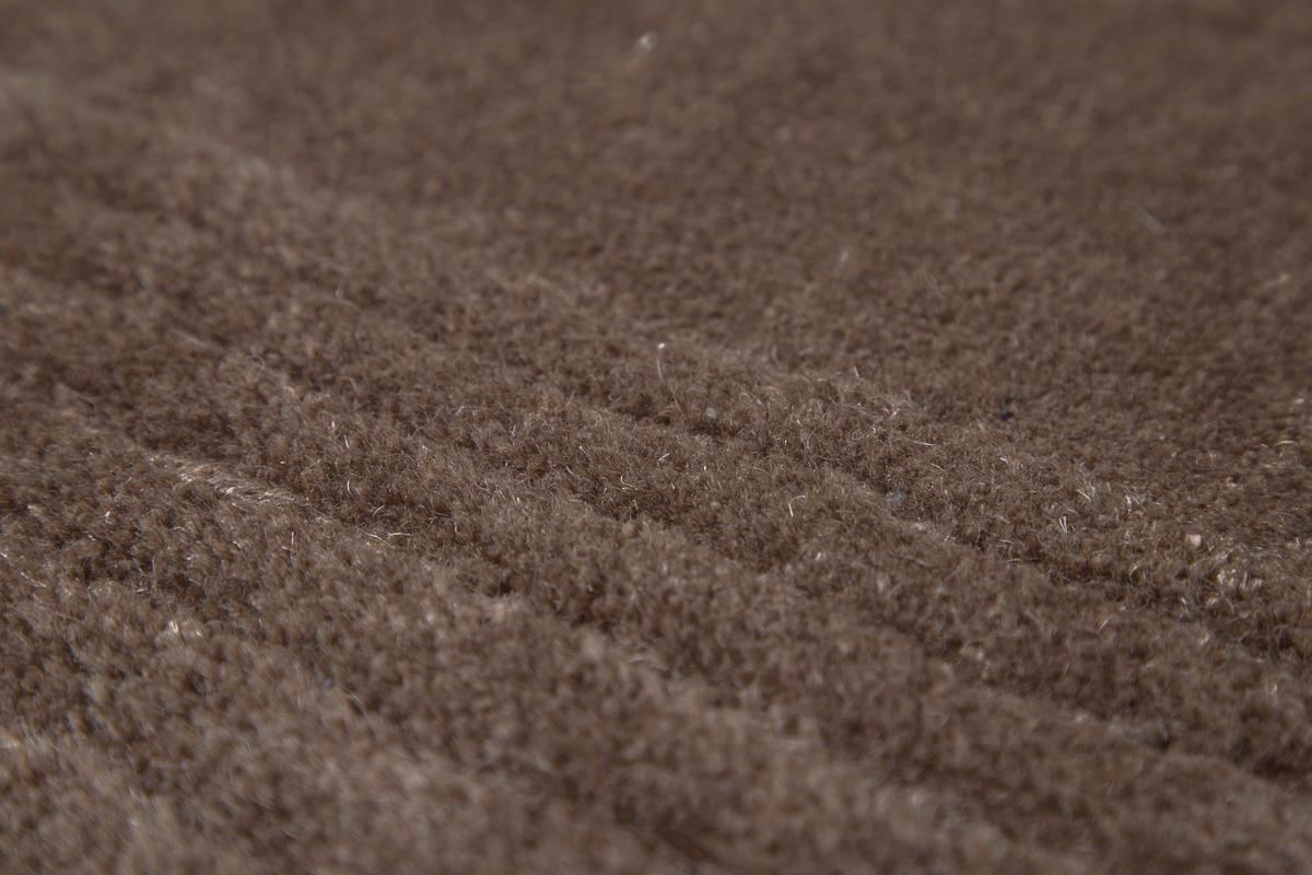 HOCHFLORTEPPICH MATTEO - Braun, LIFESTYLE, Textil (250/350cm) - P & B