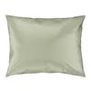 Prevleka Blazine Alex Uni - svetlo zelena, Moderno, tekstil (40/60cm) - Premium Living