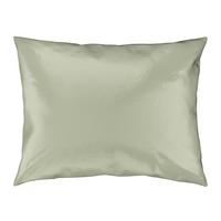 Kissenhülle Alex Uni in Hellgrün ca. 40x60cm - Hellgrün, MODERN, Textil (40/60cm) - Premium Living
