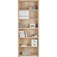 Regal In Sanremo Eiche - MODERN, Holz (80/220/36cm) - MÖMAX modern living