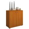 Komoda Vandol Mini, Bukev - srebrne barve/črna, Basics, umetna masa/leseni material (70/74/40cm) - MID.YOU