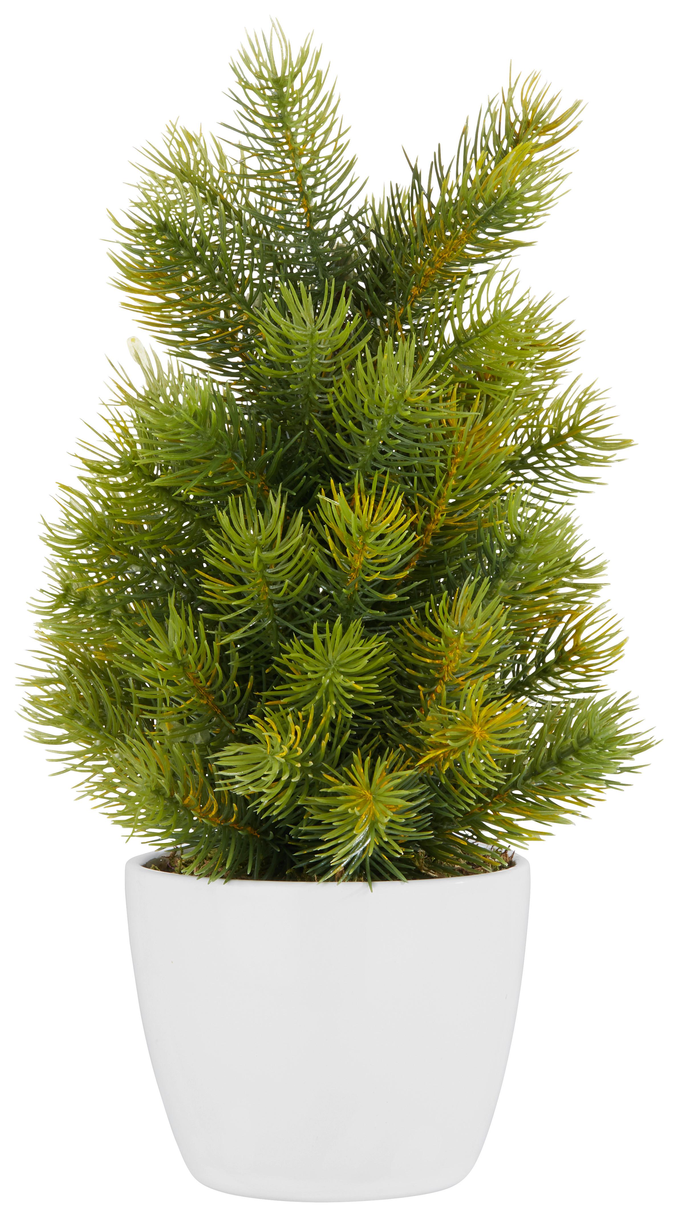 Mini Umetna Jelka Tannenbäumchen I - zelena/rjava, kovina/umetna masa (38cm)