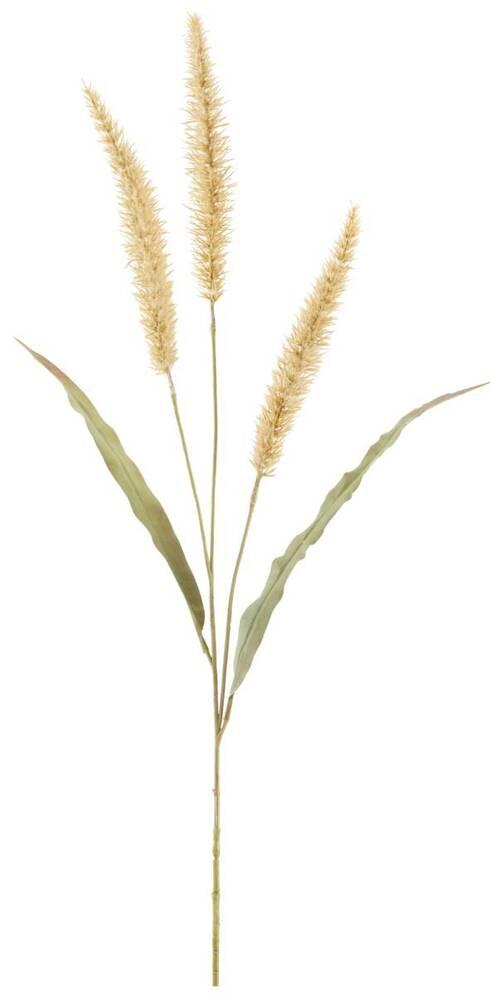 Ramură decorativă Lampenputzergras - verde/culoare natur, Modern, plastic/materiale naturale (91cm) - Modern Living