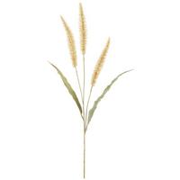 Ramură decorativă Lampenputzergras - verde/culoare natur, Modern, plastic/materiale naturale (91cm) - Modern Living