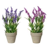 Plantă artificială Levy - Basics (11/31cm)