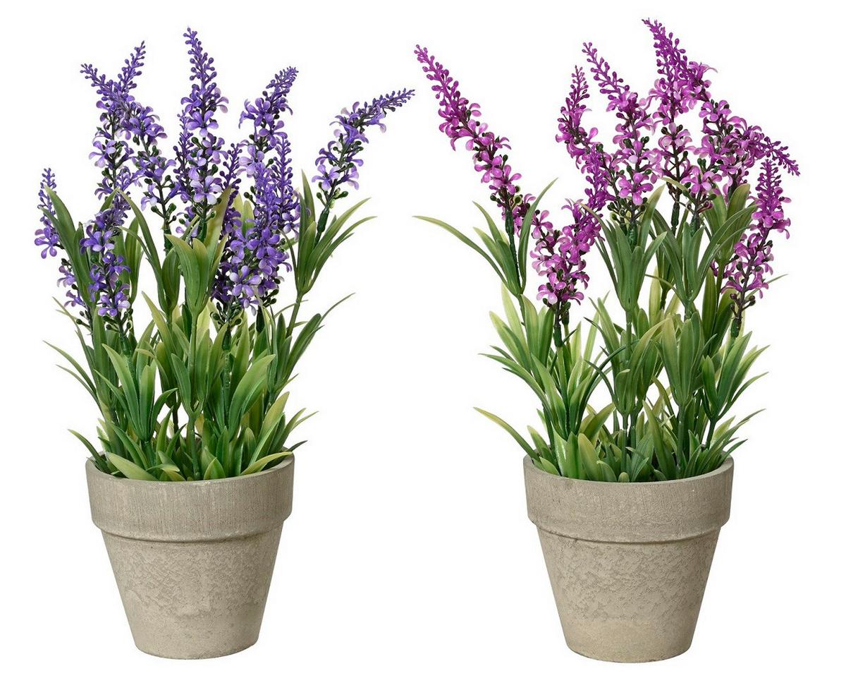 Plantă artificială Levy - Basics (11/31cm)