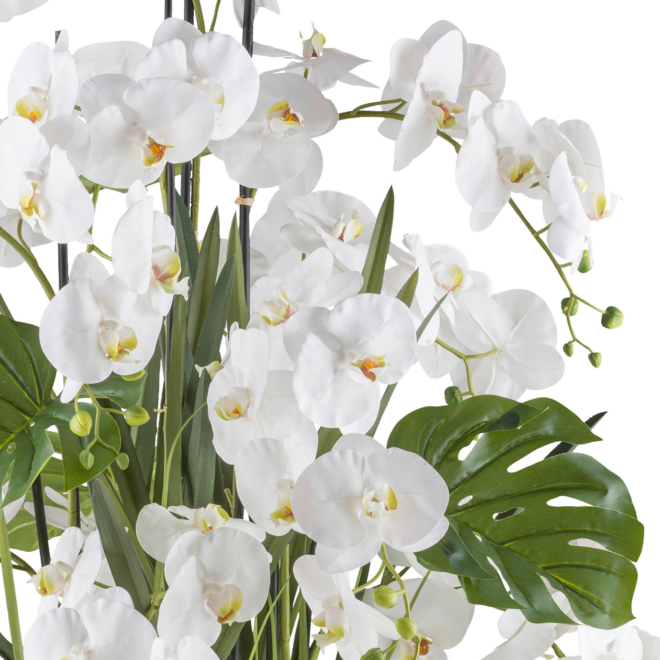 Kunstpflanze Orchideen Grün/Weiß - Creme/Weiß, Design, Kunststoff (140cm) - P & B