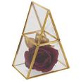 Dekobox Adriana Gold - Klar/Goldfarben, Glas/Metall (15/10/20cm) - Modern Living Dekobox Adriana Gold - Klar/Goldfarben, Glas/Metall (15/10/20cm) - Modern Living