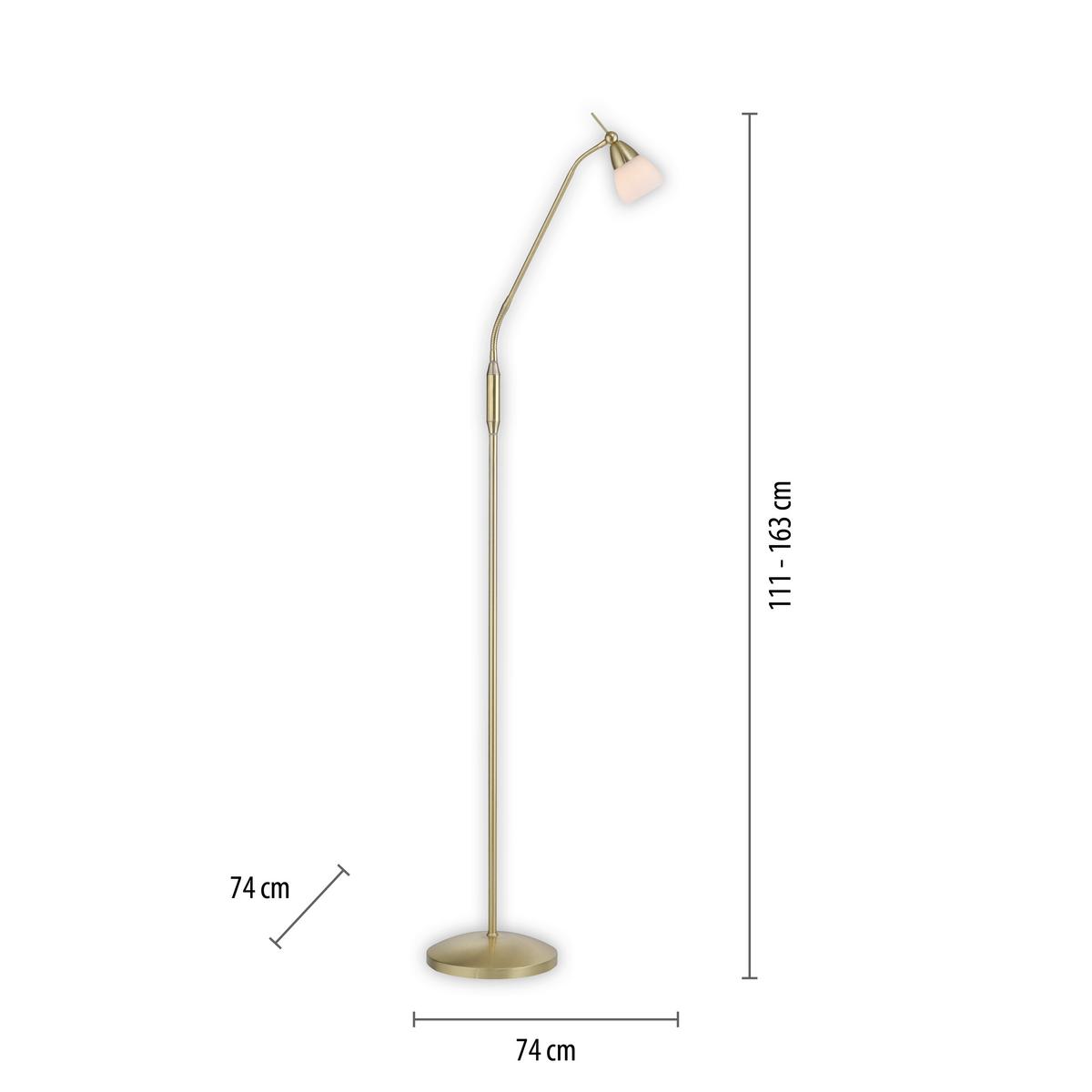 LED-Stehleuchte Pino Dimmbar max. 2,6 Watt - Basics (74/74/163cm) - Paul Neuhaus