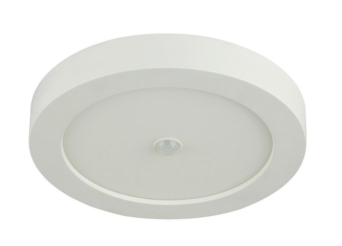 LED-Deckenleuchte Paula max. 18 Watt - Opal/Weiß, MODERN, Kunststoff (22,6/3,5cm)
