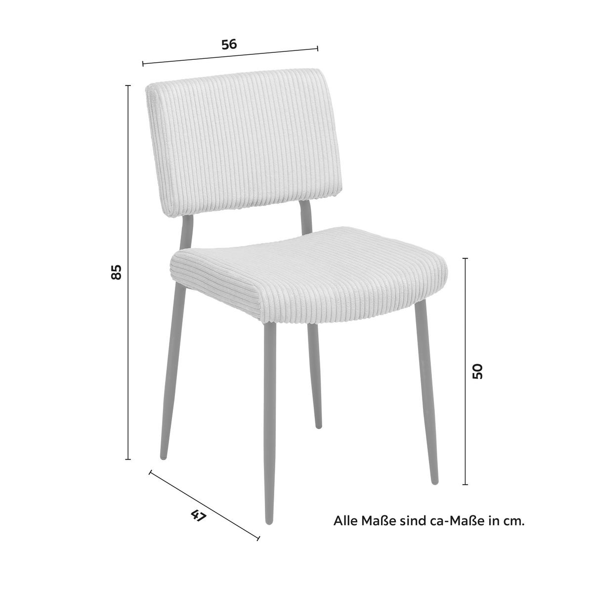 Stol Elia, Siva, Rebrasti Žamet - siva/črna, Moderno, kovina/tekstil (56/85/47cm) - Bessagi Home