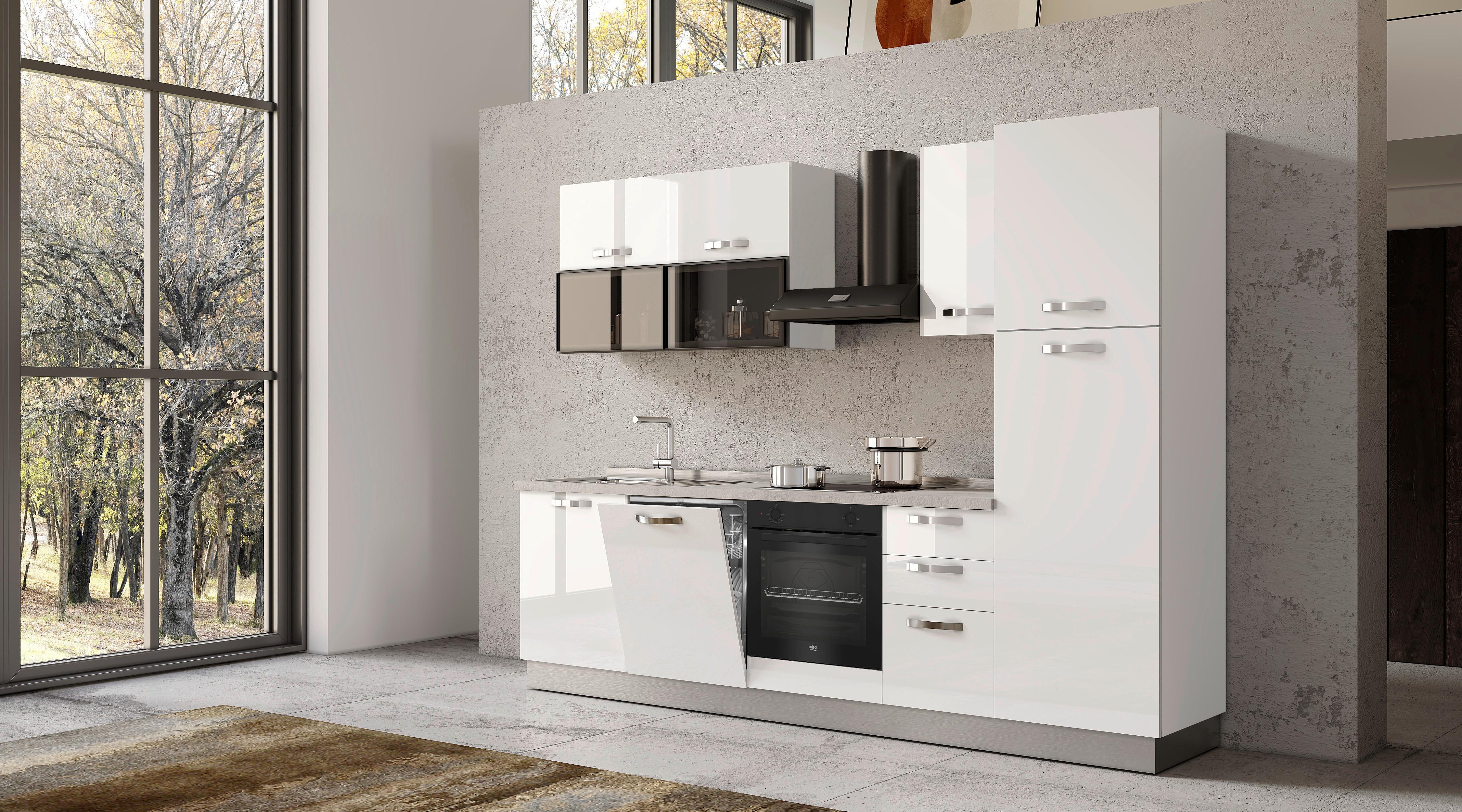 Blok Kuhinja Sa Uređajima Vania - boja aluminijuma/bela visoki sjaj, Konvencionalno, metal/pločasti materijal (285/216/60cm) - Best Price