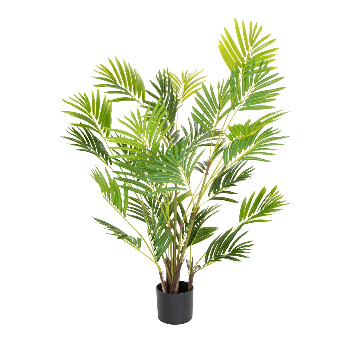 Umetna Rastlina Areca I - črna/zelena, Basics, umetna masa (70/120/70cm) - MID.YOU