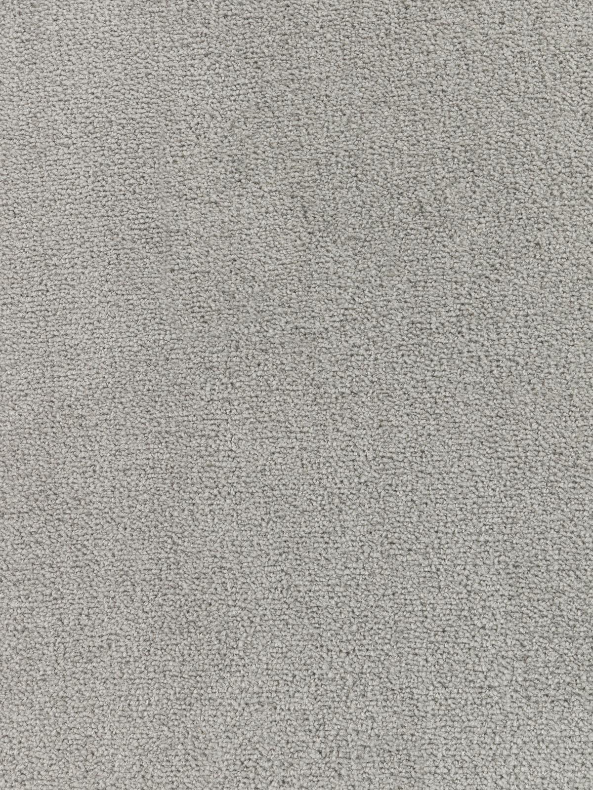 Tkani Tepih 100/150cm Susi- Based- - siva, Konvencionalno, tekstil (100/150cm) - Best Price