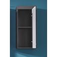 Hängeschrank Miami/maine - Silberfarben/Schwarz, MODERN, Holzwerkstoff/Kunststoff (36/79/23cm)