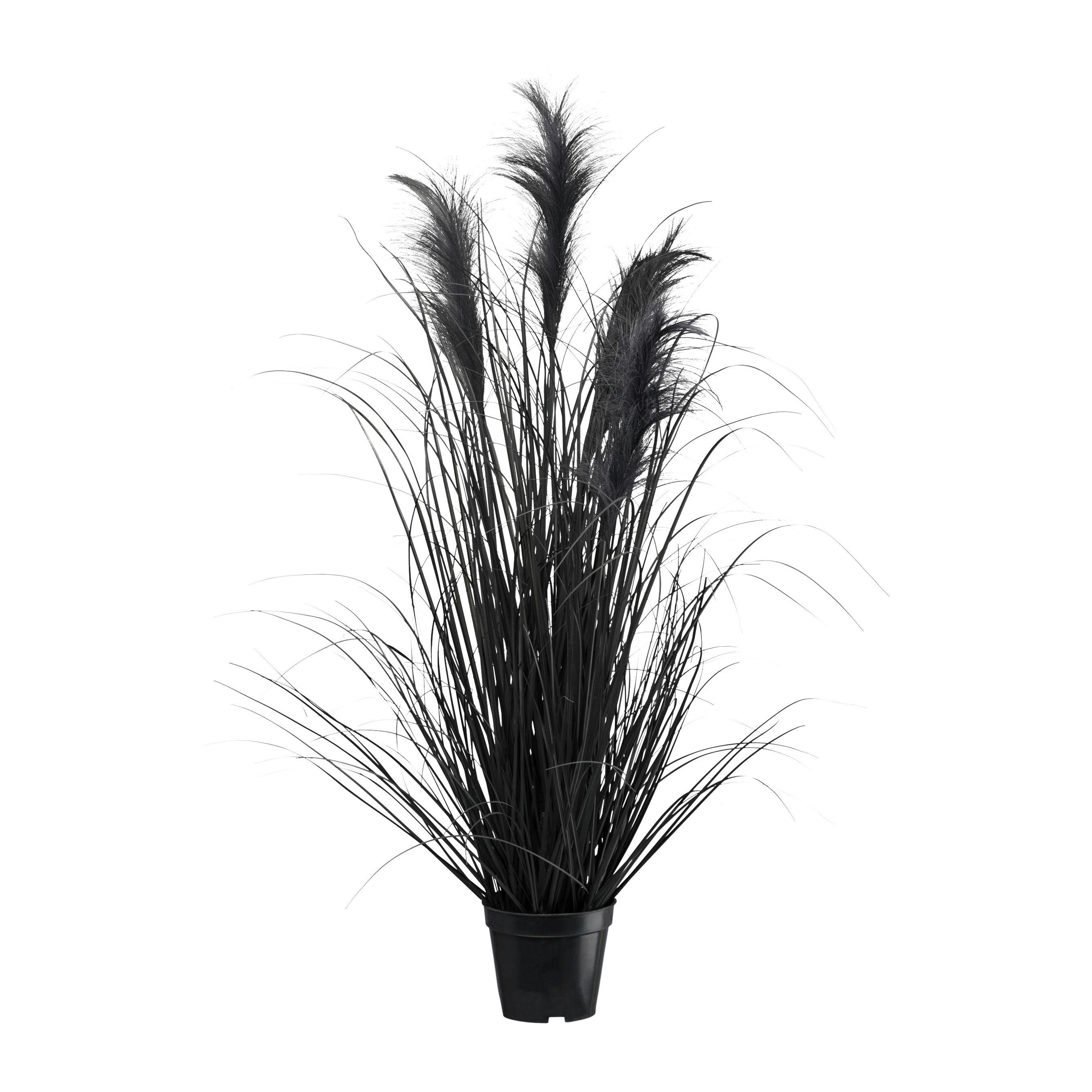 Kunstpflanze Pampasgras I in Schwarz - Schwarz, MODERN, Kunststoff (92cm) - Modern Living