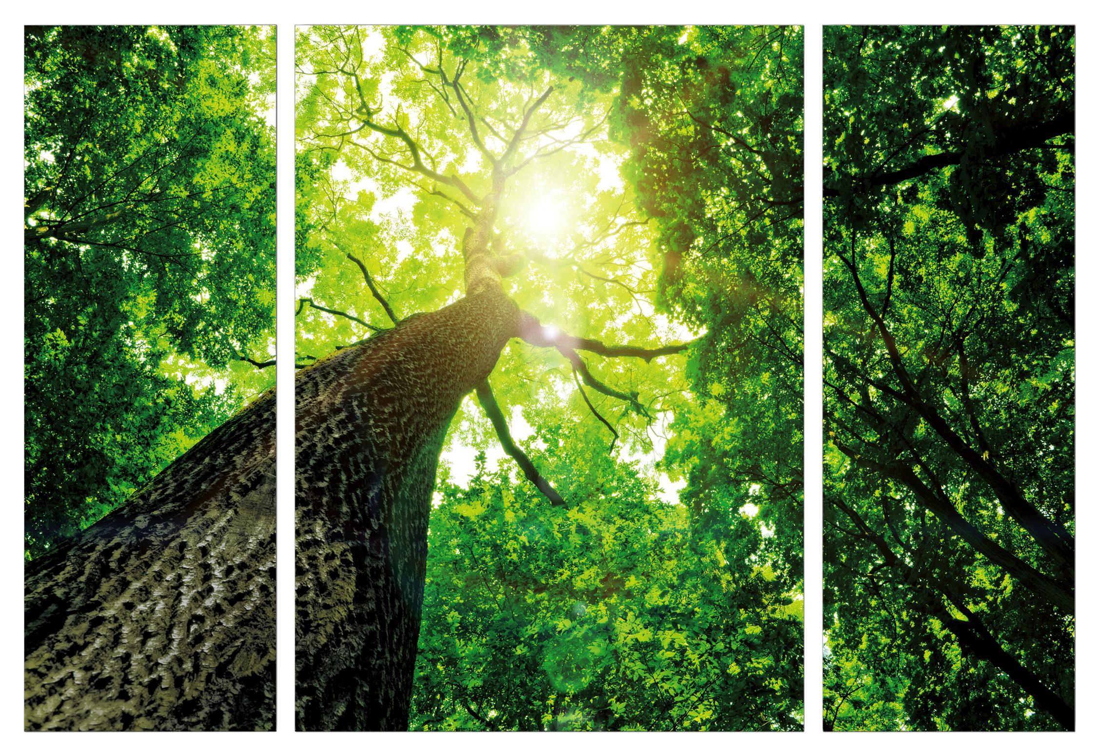 Keilrahmenbild Marius Braun/Grün - Braun/Grün, Holzwerkstoff/Textil (116/80/1.8cm)