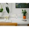 LAMPE DÉCORATIVE LED MALON - Transparent/blanc, MODERN, matière synthétique (30/20/18,4cm) - Mömax