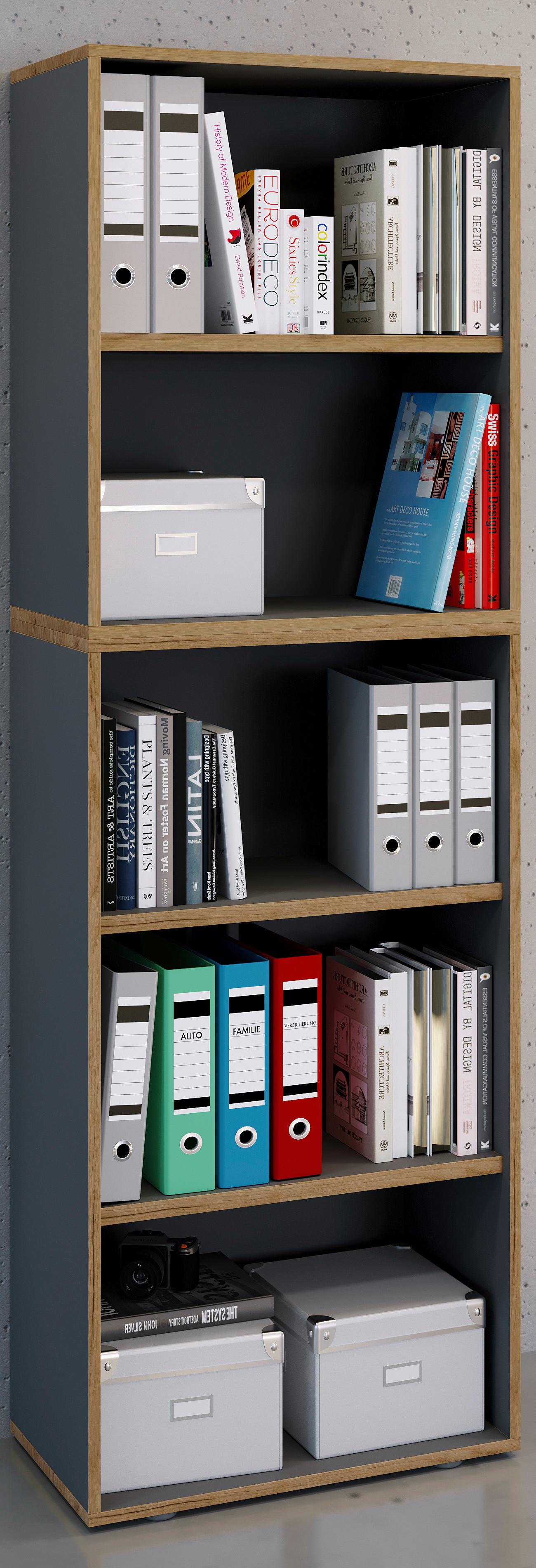 AKTENREGAL SALIA B60 - Honigeiche/Anthrazit, Design, Holzwerkstoff/Kunststoff (60/183/33cm) - MID.YOU