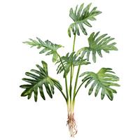 Kunstppflanze Monstera In Grün - Grün, Lifestyle, Kunststoff (65cm) - Modern Living