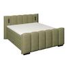Boxspring Krevet Elysia - zelena/crna, Trend, drvni materijal/drvo (160/220cm) - Premium Living