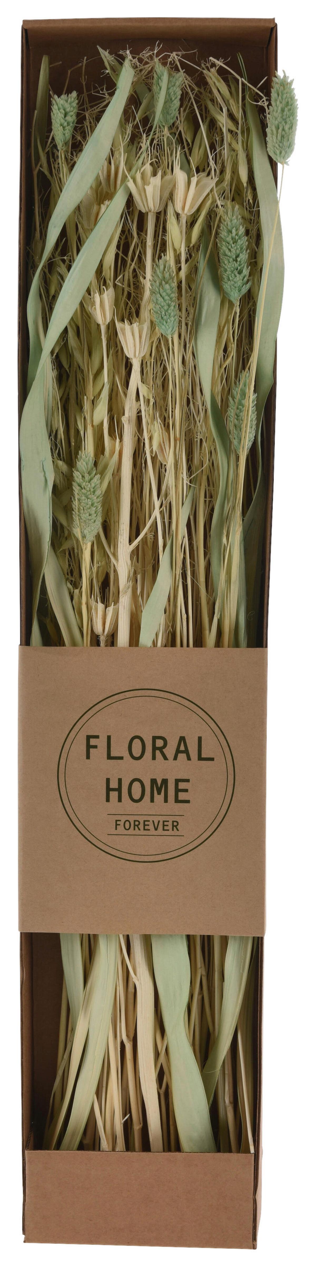 Trockenblume Mira diverse Farben - Dunkelbraun/Beige, Basics, Naturmaterialien (12/60/3,5cm)