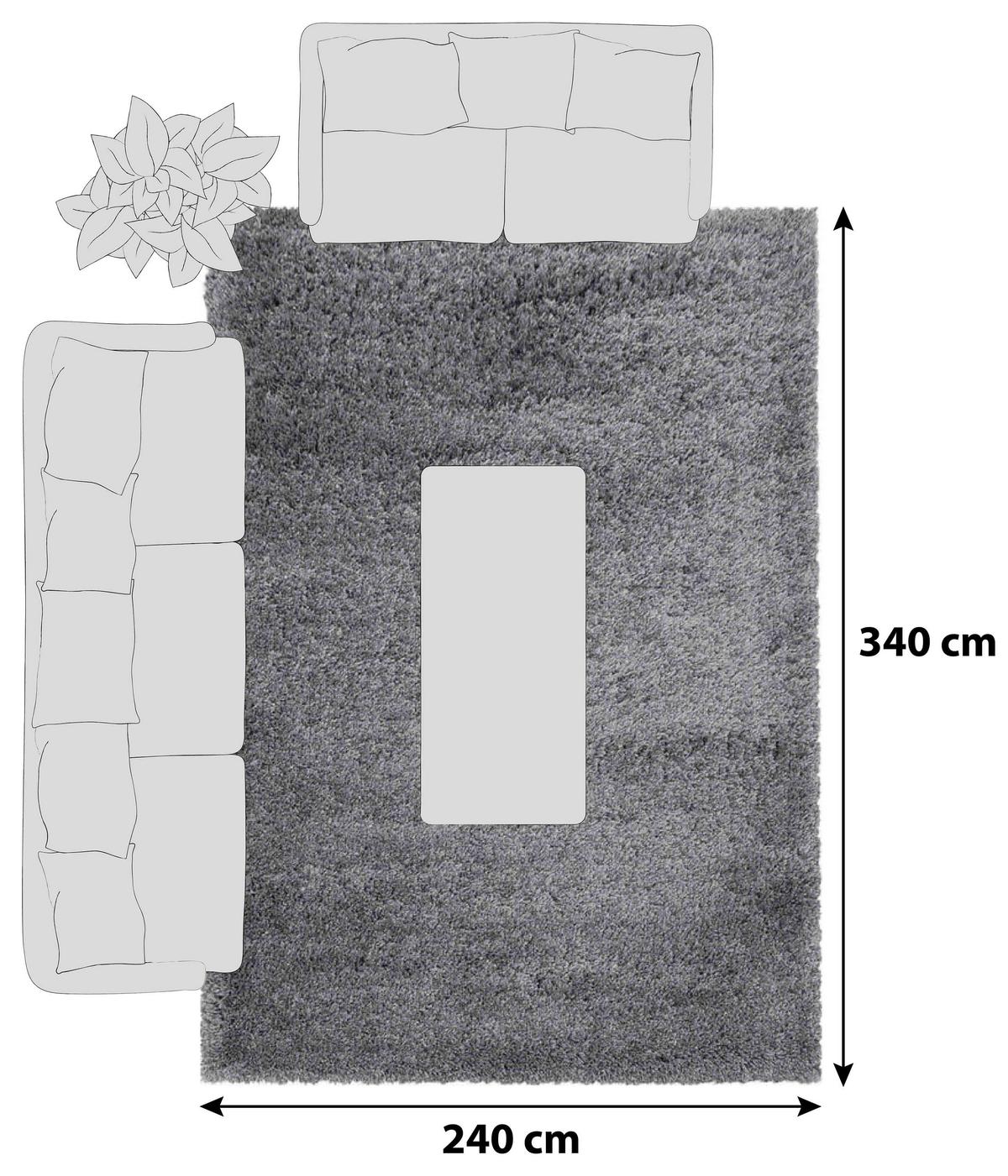 Hochflorteppich Fluffly Hellgrau ca. 240x340cm - Hellgrau, Basics, Textil (240/340cm) - Novel