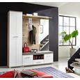 Garderobenschrank in Weiß/Silbereiche - Chromfarben/Weiß, MODERN, Holz/Holzwerkstoff (47/199/39cm) - PREMIUM LIVING