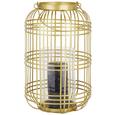 Laterne Diana aus Glas/Eisen - Klar/Goldfarben, Glas/Metall (22,5/36cm) - Mömax modern living Laterne Diana aus Glas/Eisen - Klar/Goldfarben, Glas/Metall (22,5/36cm) - Mömax modern living