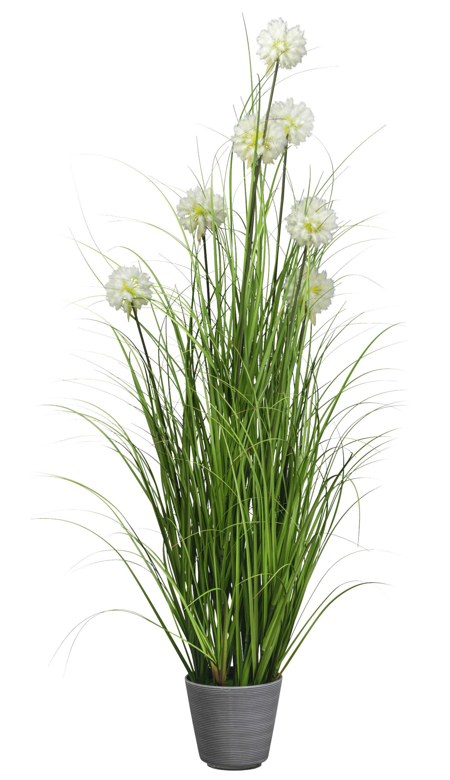 Kunstpflanze Pusteblume in Grün - Grau/Grün, Basics, Kunststoff (150cm) - Modern Living