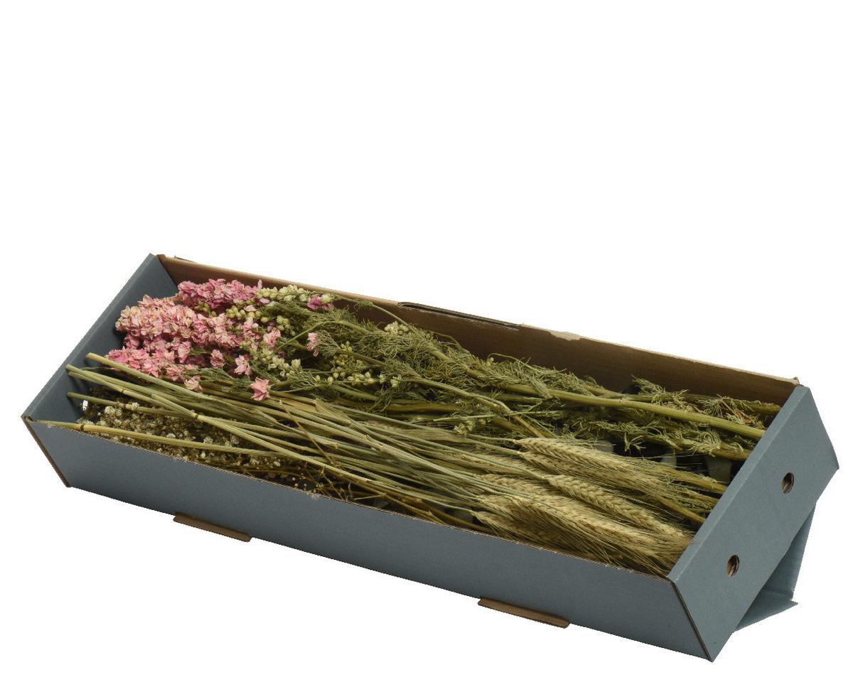 KWIAT DEKORACYJNY 804119 - zielony/jasnoróżowy, Lifestyle (20,00/20,00/60,00cm)