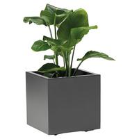 Blumenkasten Anthrazit - Anthrazit, Basics, Kunststoff (39,5/39,5/39,5cm)
