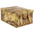 Box mit Deckel Foldy ca. 30l - Braun, Karton/Kunststoff (55/40/25cm) Box mit Deckel Foldy ca. 30l - Braun, Karton/Kunststoff (55/40/25cm)
