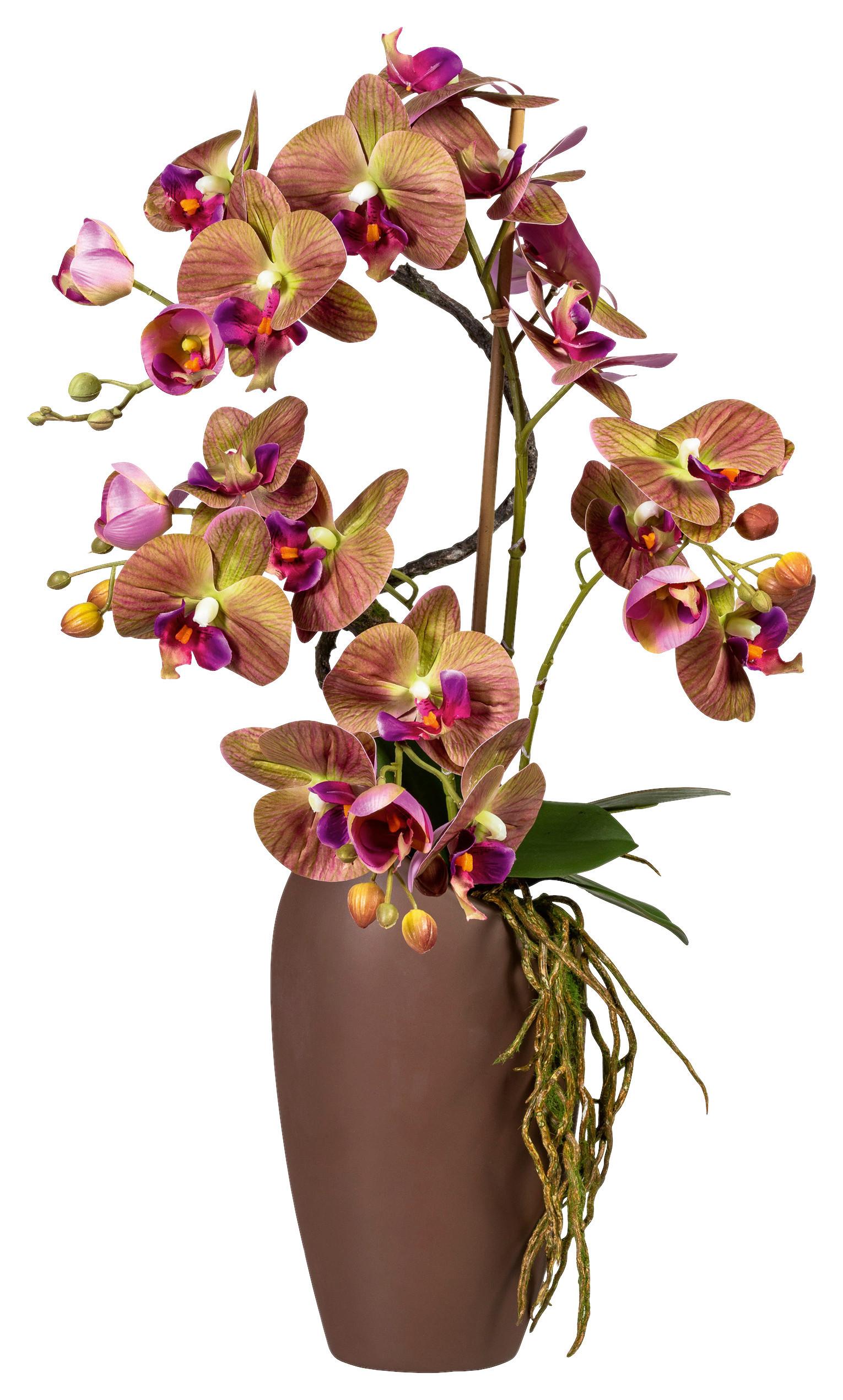 Kunstpflanze Orchideen Grün/Lila - Lila/Braun, Design, Keramik/Kunststoff (70cm)